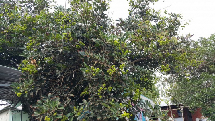Chào buổi sáng - Chúc một ngày mới tốt lành. Chào buổi sáng - Chúc một ngày mới tốt lành.