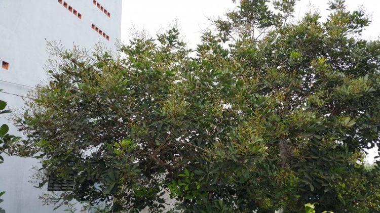 Chào buổi sáng - Chúc một ngày mới tốt lành. Chào buổi sáng - Chúc một ngày mới tốt lành.