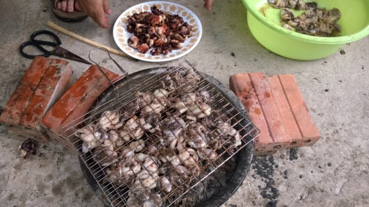 Jolie - Chiếc xe thân thiện Jolie - Chiếc xe thân thiện