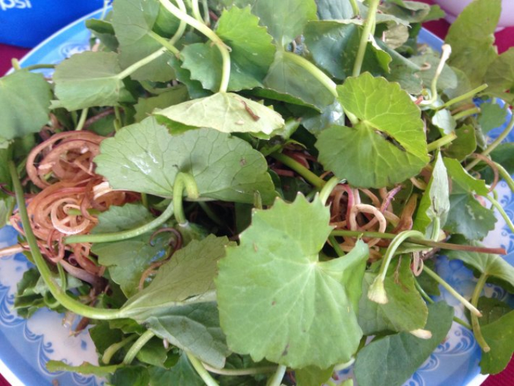 O.S Chinh phục Tú Làn O.S Chinh phục Tú Làn