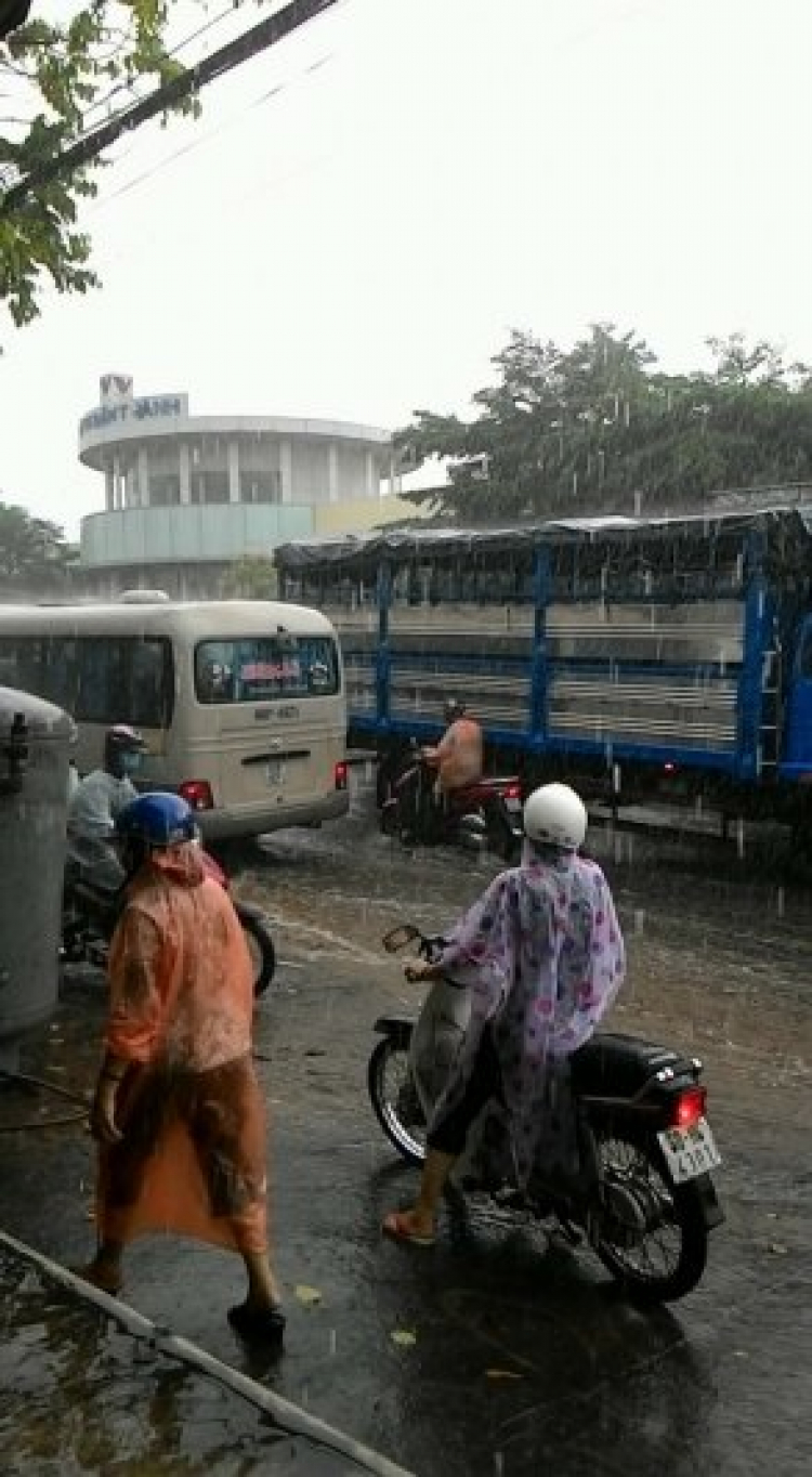 bát nháo ở Biên Hòa. bát nháo ở Biên Hòa.