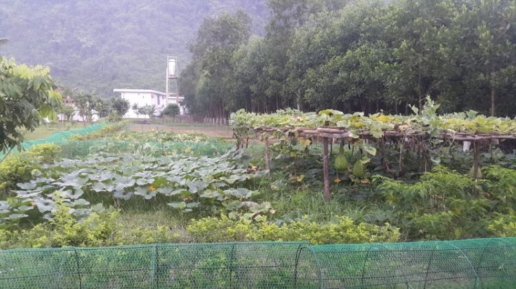 O.S Chinh phục Tú Làn O.S Chinh phục Tú Làn