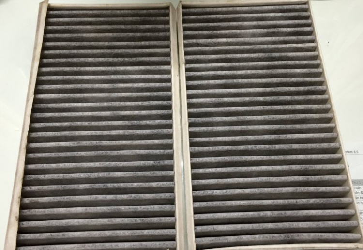 Chia sẻ tí hình ảnh chó già của em E60 để mấy bác chém Chia sẻ tí hình ảnh chó già của em E60 để mấy bác chém