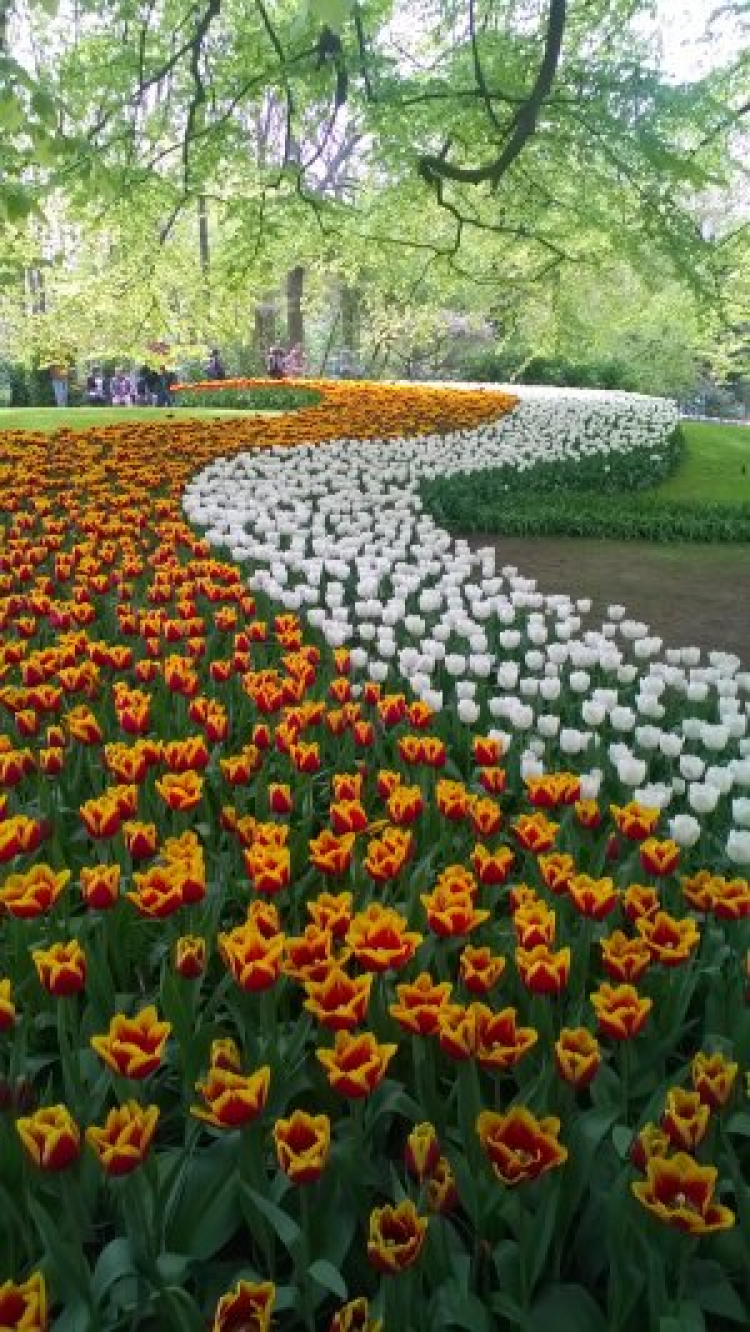 Có một Hà Lan đẹp như thế.............. Có một Hà Lan đẹp như thế..............