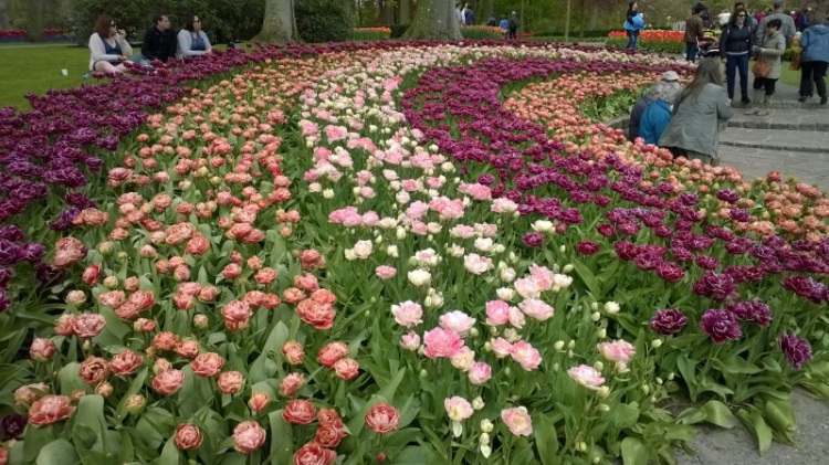 Có một Hà Lan đẹp như thế.............. Có một Hà Lan đẹp như thế..............