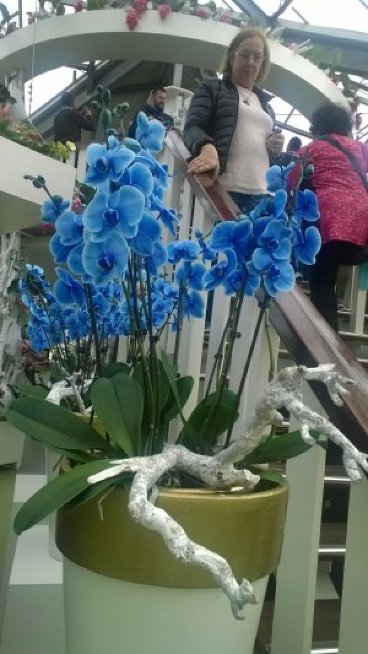 Có một Hà Lan đẹp như thế.............. Có một Hà Lan đẹp như thế..............