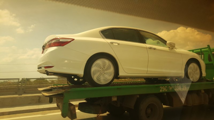 Accord 2016 fl