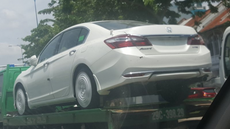 Accord 2016 fl