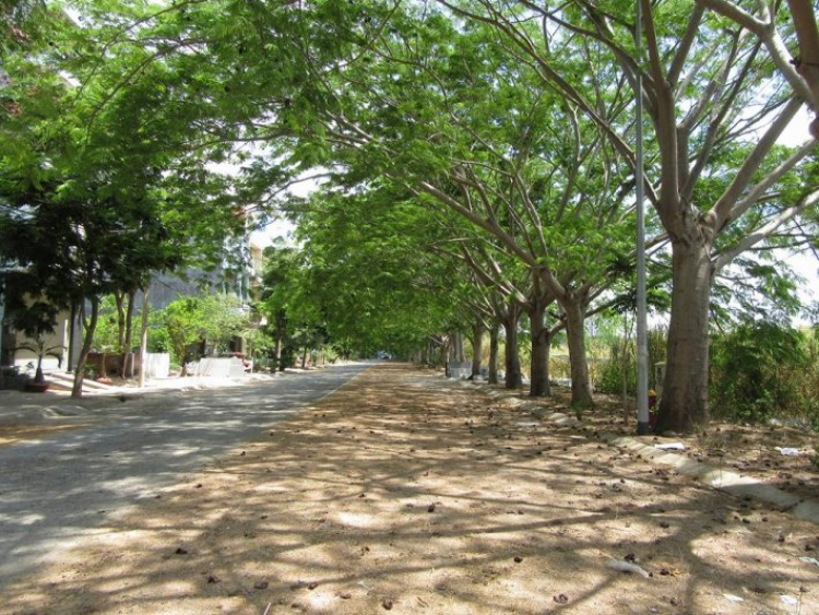 Đường Nguyễn Lương Bằng nối dài ??? Đường Nguyễn Lương Bằng nối dài ???