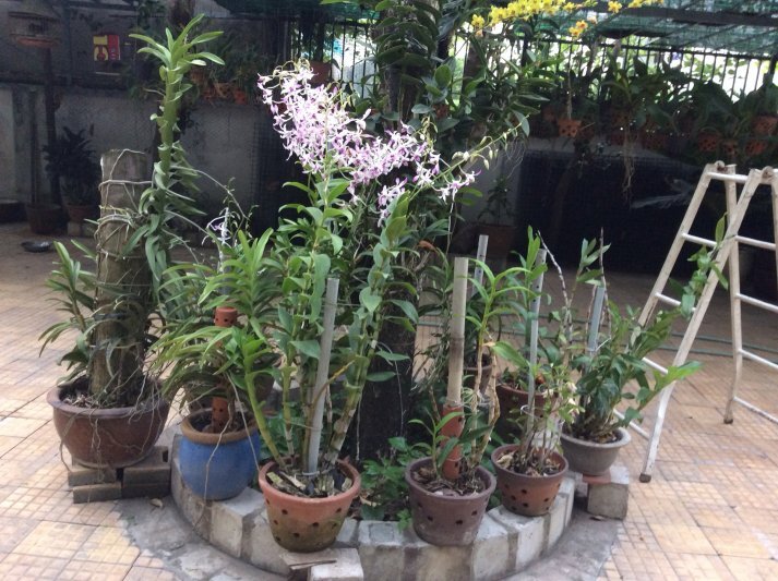 Camry: Trao đổi kinh nghiệm sửa chữa, phụ tùng Camry 8X 9X 0X (Đời 86 đến 2000) Camry: Trao đổi kinh nghiệm sửa chữa, phụ tùng Camry 8X 9X 0X (Đời 86 đến 2000)
