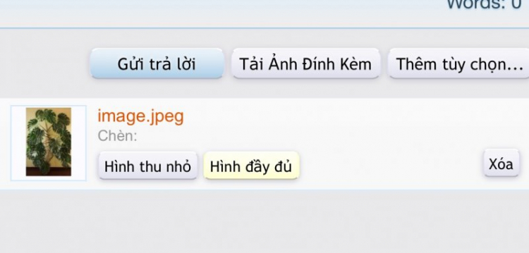 CĂN HỘ CHO THUÊ TỐT NHẤT PMH - Happy/Green/Scenic1-2? CĂN HỘ CHO THUÊ TỐT NHẤT PMH - Happy/Green/Scenic1-2?