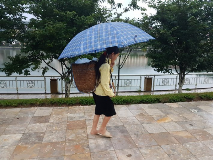 Đi đẻ cảm nhận vẻ đẹp của đất nước Việt Nam Đi đẻ cảm nhận vẻ đẹp của đất nước Việt Nam