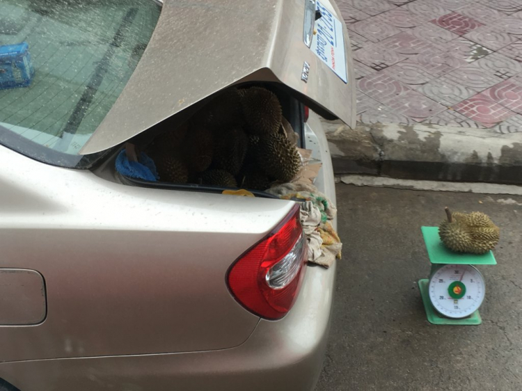 Camry: Trao đổi kinh nghiệm sửa chữa, phụ tùng Camry 8X 9X 0X (Đời 86 đến 2000) Camry: Trao đổi kinh nghiệm sửa chữa, phụ tùng Camry 8X 9X 0X (Đời 86 đến 2000)