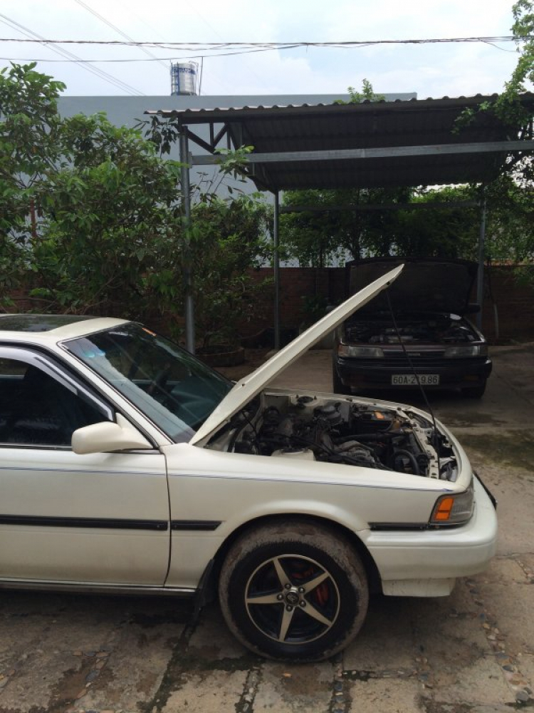 Camry: Trao đổi kinh nghiệm sửa chữa, phụ tùng Camry 8X 9X 0X (Đời 86 đến 2000) Camry: Trao đổi kinh nghiệm sửa chữa, phụ tùng Camry 8X 9X 0X (Đời 86 đến 2000)