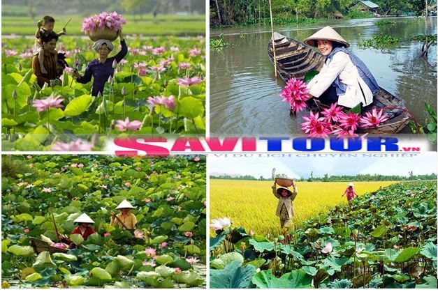 Camry: Trao đổi kinh nghiệm sửa chữa, phụ tùng Camry 8X 9X 0X (Đời 86 đến 2000)