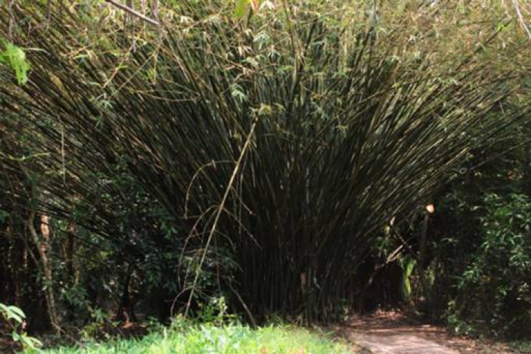 Camry: Trao đổi kinh nghiệm sửa chữa, phụ tùng Camry 8X 9X 0X (Đời 86 đến 2000) Camry: Trao đổi kinh nghiệm sửa chữa, phụ tùng Camry 8X 9X 0X (Đời 86 đến 2000)