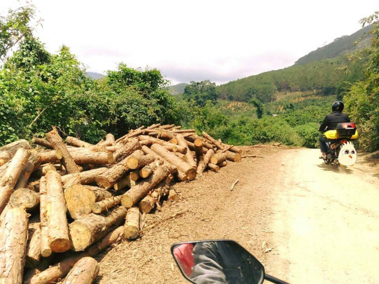 Kala ngày trở lại...