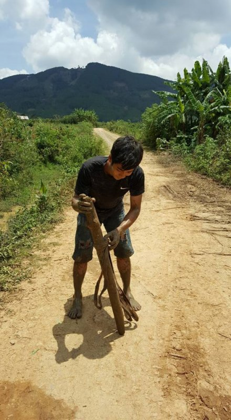 Kala ngày trở lại...