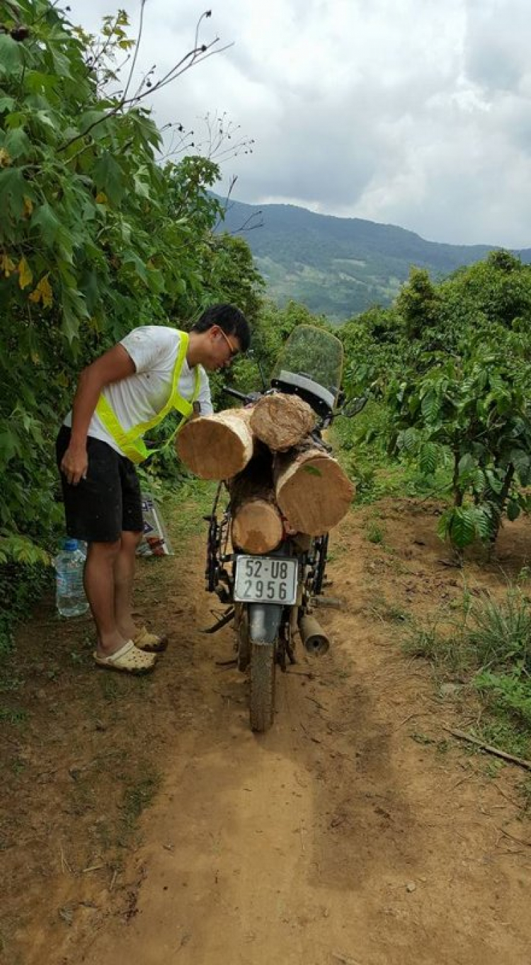 Kala ngày trở lại...