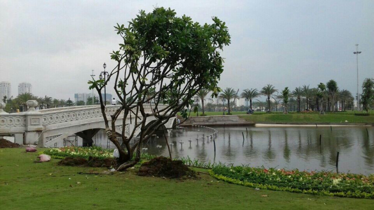 Trao đổi về Vinhomes Tân Cảng (Central Park)