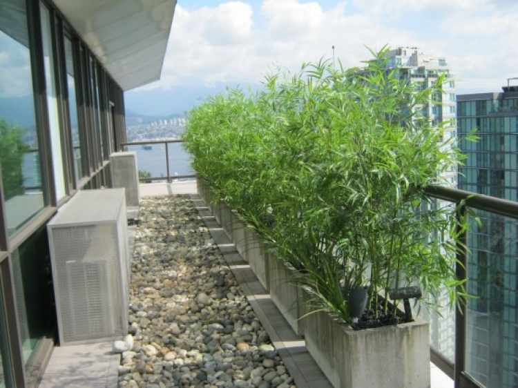 Trao đổi về Vinhomes Tân Cảng (Central Park) Trao đổi về Vinhomes Tân Cảng (Central Park)