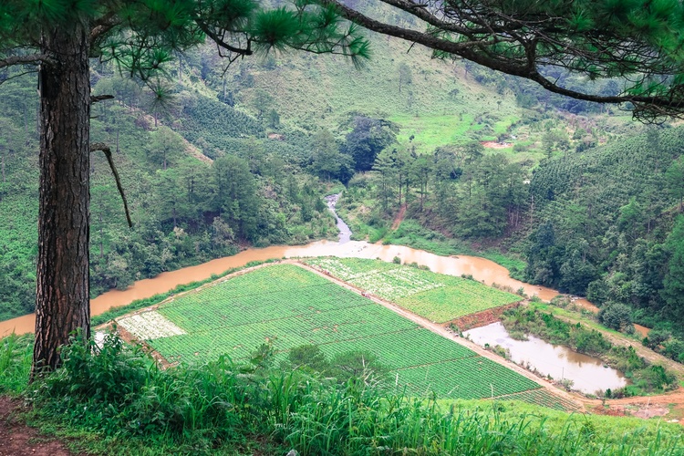 Sài Gòn - Đà Lạt