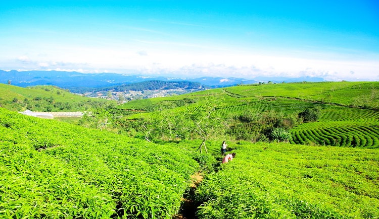 Sài Gòn - Đà Lạt