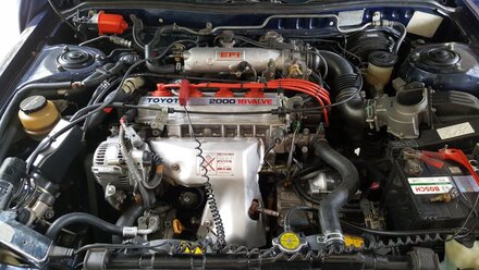 20160612_121720.jpg