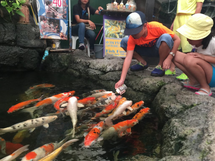 Xuyên Thailand 24 ngày hè 2016 Xuyên Thailand 24 ngày hè 2016