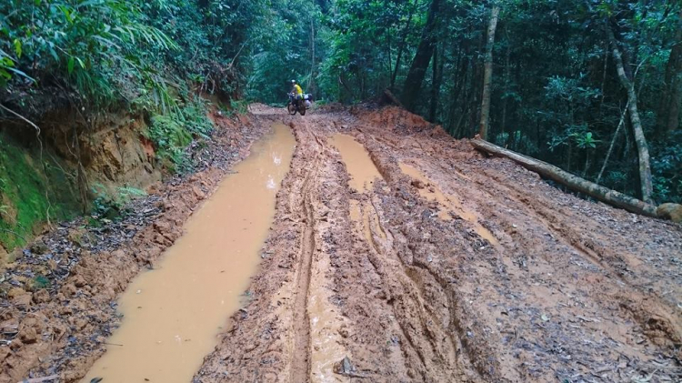 Kala ngày trở lại...