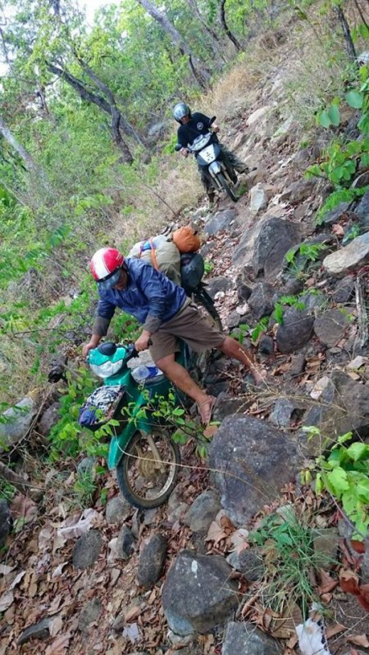 Kala ngày trở lại...