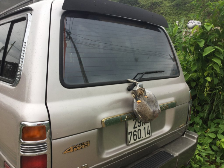 LAND CRUISER  FRIENDCLUB (LFC) "Where there were NO ROADS, there was LAND CRUISER"