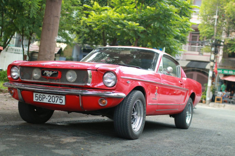 Ford Mustang đời 1965