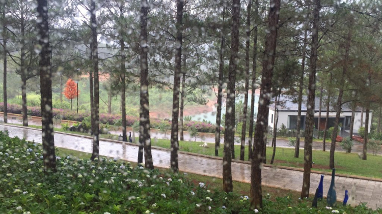 Đà Lạt mùa mưa... Đà Lạt mùa mưa...