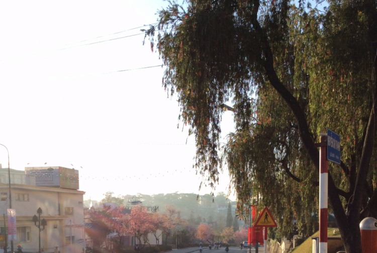 DALAT GIỜ CHỈ CÒN TRONG KÝ ỨC DALAT GIỜ CHỈ CÒN TRONG KÝ ỨC