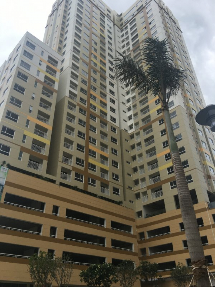 Có Nên Mua Căn Hộ Tropic Garden Quận 2 Có Nên Mua Căn Hộ Tropic Garden Quận 2