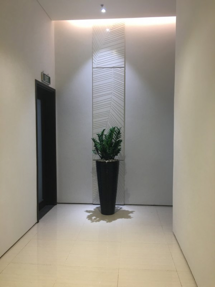 Có Nên Mua Căn Hộ Tropic Garden Quận 2 Có Nên Mua Căn Hộ Tropic Garden Quận 2