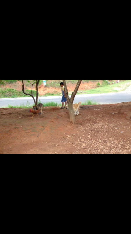Club Grandis Da lat
