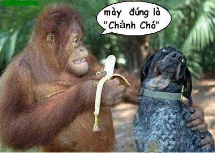 Sau 12/07 sẽ có cú shock với BĐS? Sau 12/07 sẽ có cú shock với BĐS?