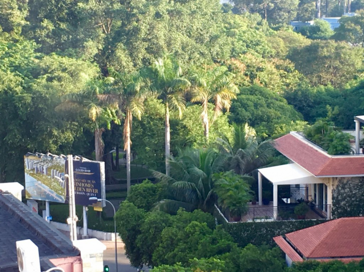 Cập nhật tiến độ Vinhomes Central Park Cập nhật tiến độ Vinhomes Central Park