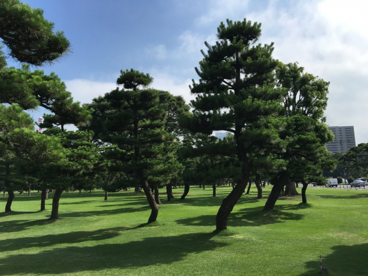 DALAT GIỜ CHỈ CÒN TRONG KÝ ỨC DALAT GIỜ CHỈ CÒN TRONG KÝ ỨC
