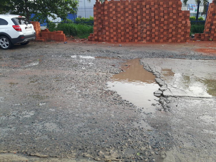 Tự ý lấp ổ voi có bị xử phạt ??? Tự ý lấp ổ voi có bị xử phạt ???
