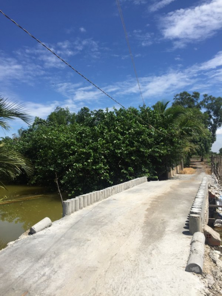 Đất vườn trang trại giáp Quận 2 cần hợp tác Đất vườn trang trại giáp Quận 2 cần hợp tác