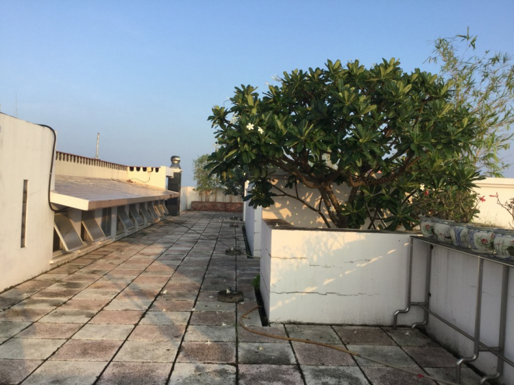 Thiết kế căn hộ chung cư Thiết kế căn hộ chung cư
