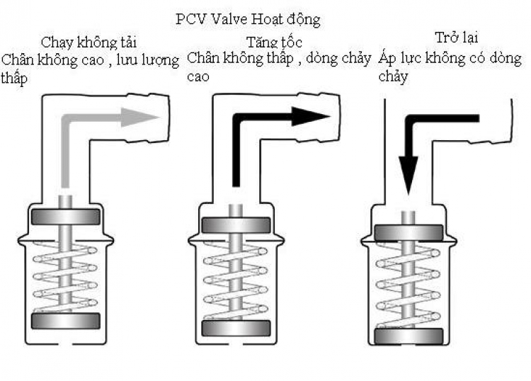 Topic chuyên về các bệnh thường gặp của Daewoo Matiz