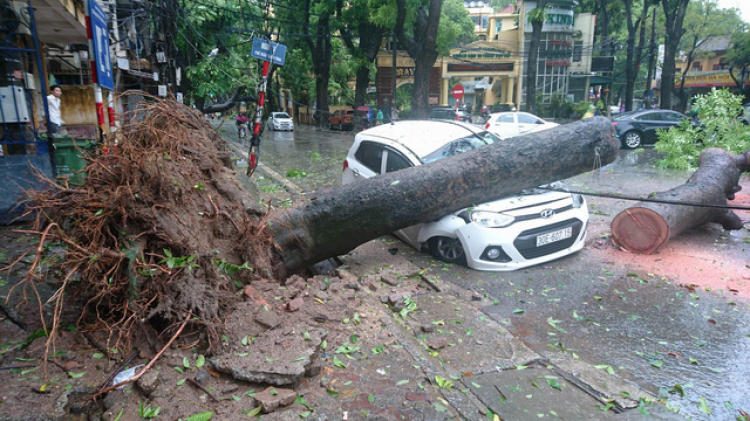MƯA BÃO THÌ ĐỪNG ĐI RA ĐƯỜNG BẤT KỂ XE GÌ !