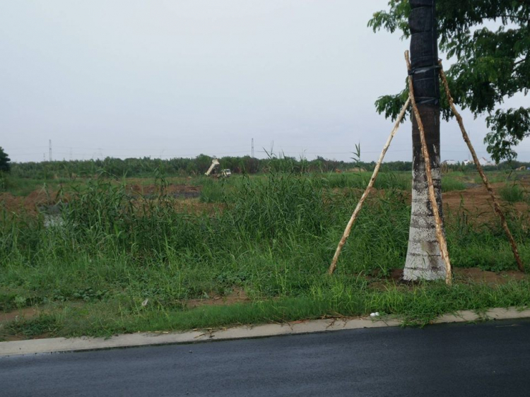Đã đến ngày của khu Nam Sài Gòn Đã đến ngày của khu Nam Sài Gòn