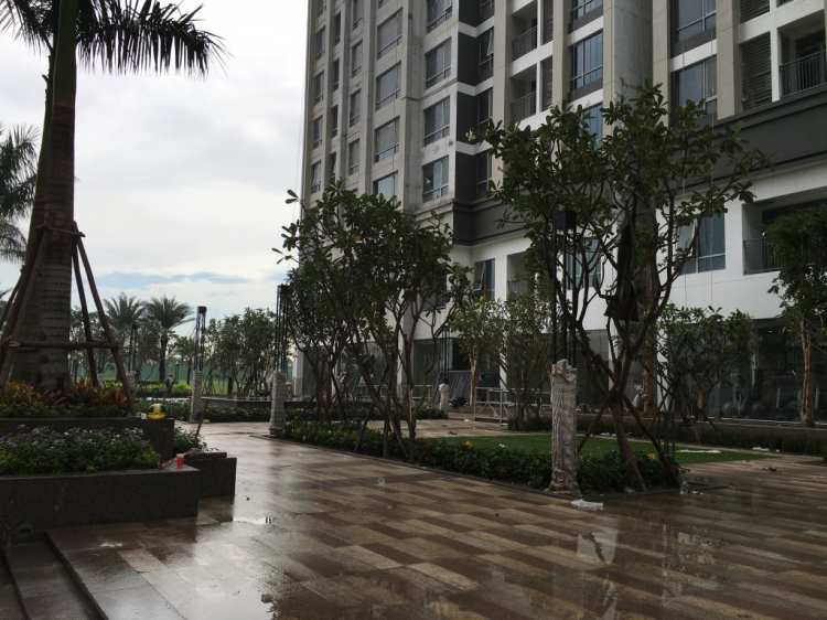 Cập nhật tiến độ Vinhomes Central Park