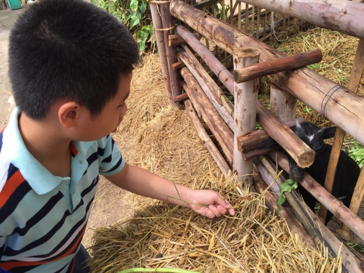 Xuyên Thailand 24 ngày hè 2016