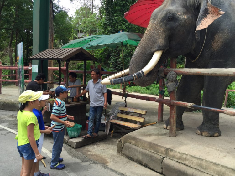 Xuyên Thailand 24 ngày hè 2016